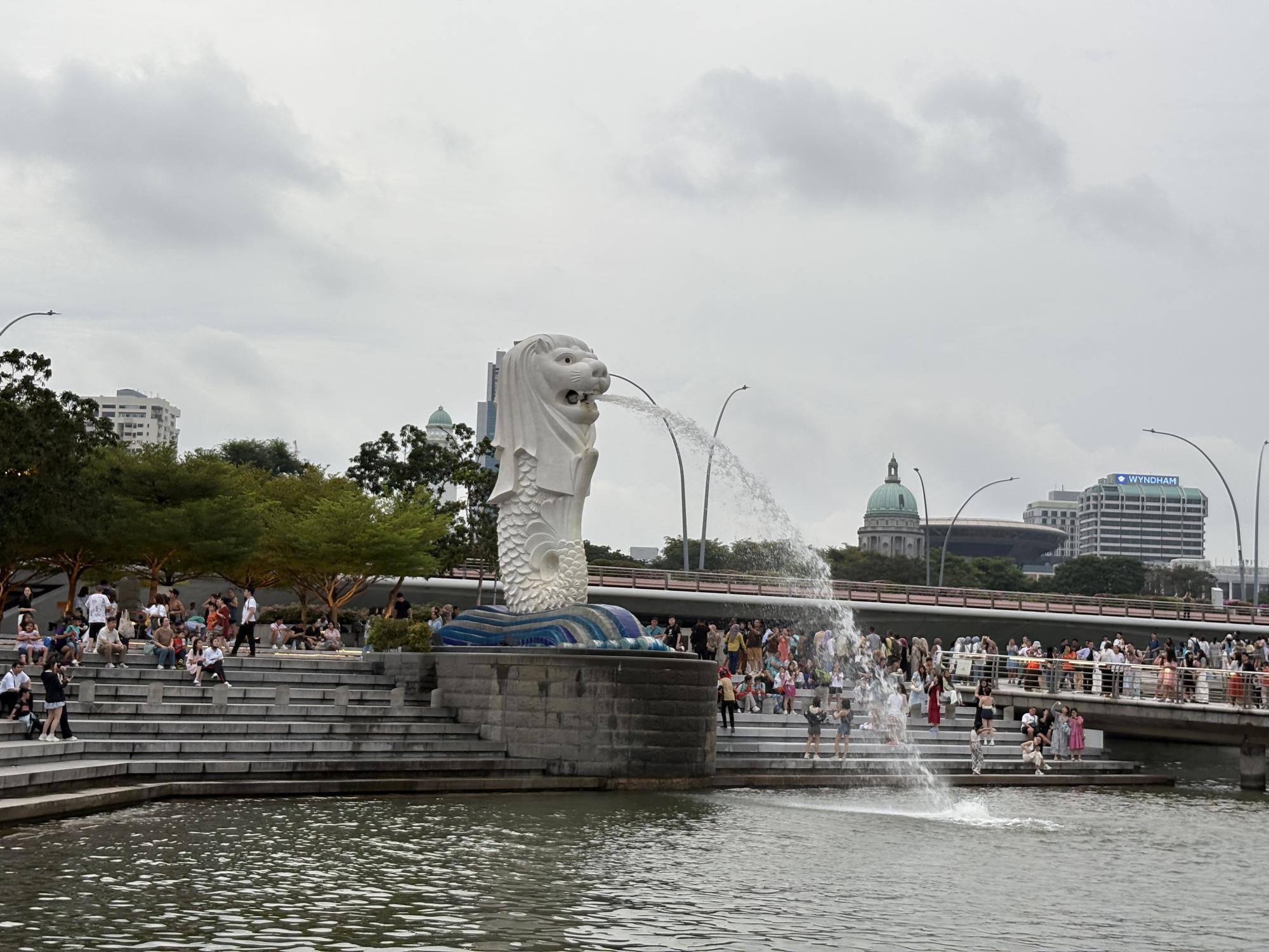 IMG_7154.jpg